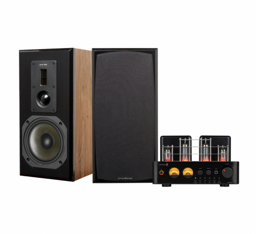 Dayton Audio HTA100 & Dynavoice DM-6 MKII Ek Stereopaket Stativhgtalare i gruppen Paket / Hifi - Musikanlggning hos Ljudfokus.se (SETHTA100PKT3)