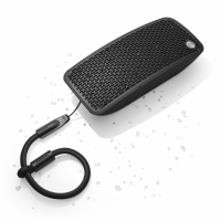 Audio Pro P5 bärbar IPX4-klassad Bluetooth-högtalare, svart