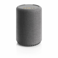 Audio Pro A10 MKII W Wifi-hgtalare powered by WiiM med Chromecast & AirPlay 2, mrkgr