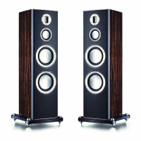 Monitor Audio PL 300 golvhgtalare, Ebony par DEMOEXEMPLAR