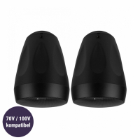Dayton Audio WP65BT utomhushögtalare med stöd för 70/100V, svart par