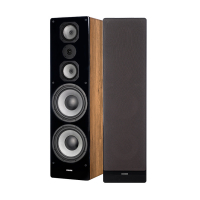 Dynavoice Challenger M-105 EX v.4 golvhgtalare, ek par