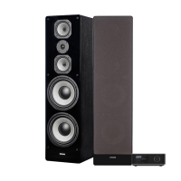 Wiim Amp Ultra & Dynavoice Challenger M-105EX v4 Svarta Stereopaket Golvhgtalare