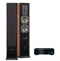 Dynavoice Definition DF-5 Ek högtalare & Yamaha R-N402D, stereopaket