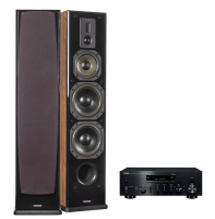 Dynavoice Definition DF-8 Ek högtalare & Yamaha R-N803D