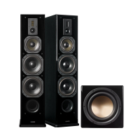 Dynavoice Defintion DF-8 & Thunder T-12 Hgtalarpaket Stereo 2.1 Svart