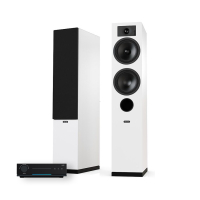Arylic LA150 & Indiana Line Tesi 5 Vita Streamingpaket Stereo