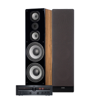 Magnat MR780 & Dynavoice Challenger M-105 EX v4 Ek Stereopaket Golvhgtalare