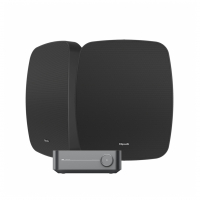 Wiim Amp & Klipsch RSM-650 Svarta Utomhushgtalare Stereopaket
