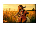 Sony Bravia 5 55 Sony Bravia 5 55