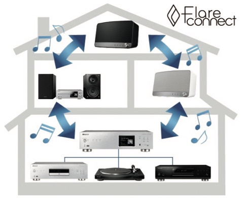 Pioneer N-50AE nätverksspelare, silver