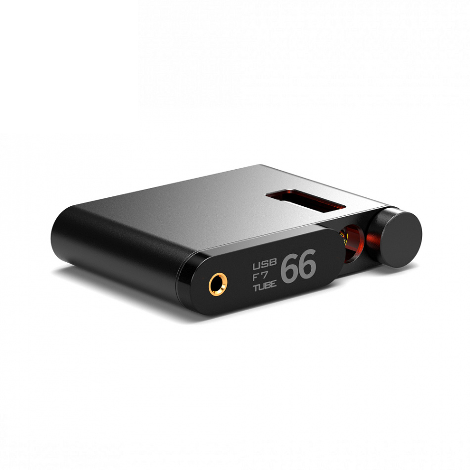 Aune Flamingo rörbestyckad DAC med hörlursförstärkare