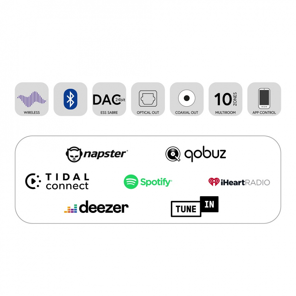 TAGA Harmony TWA-10B nätverkssteamer med Tidal Connect, svart