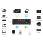 Arylic LP20 nätverksstreamer med AirPlay 2, Google Cast & subutgång Arylic LP20 nätverksstreamer med AirPlay 2, Google Cast & subutgång