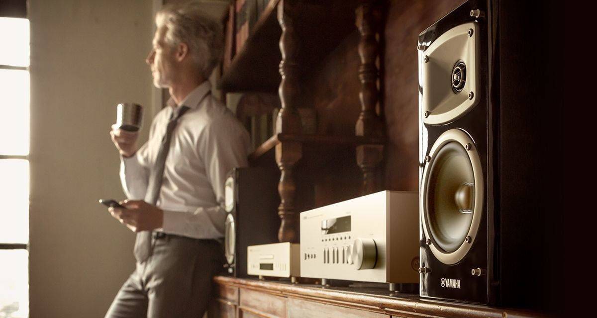 Yamaha R-N303D nätverksreceiver, silver