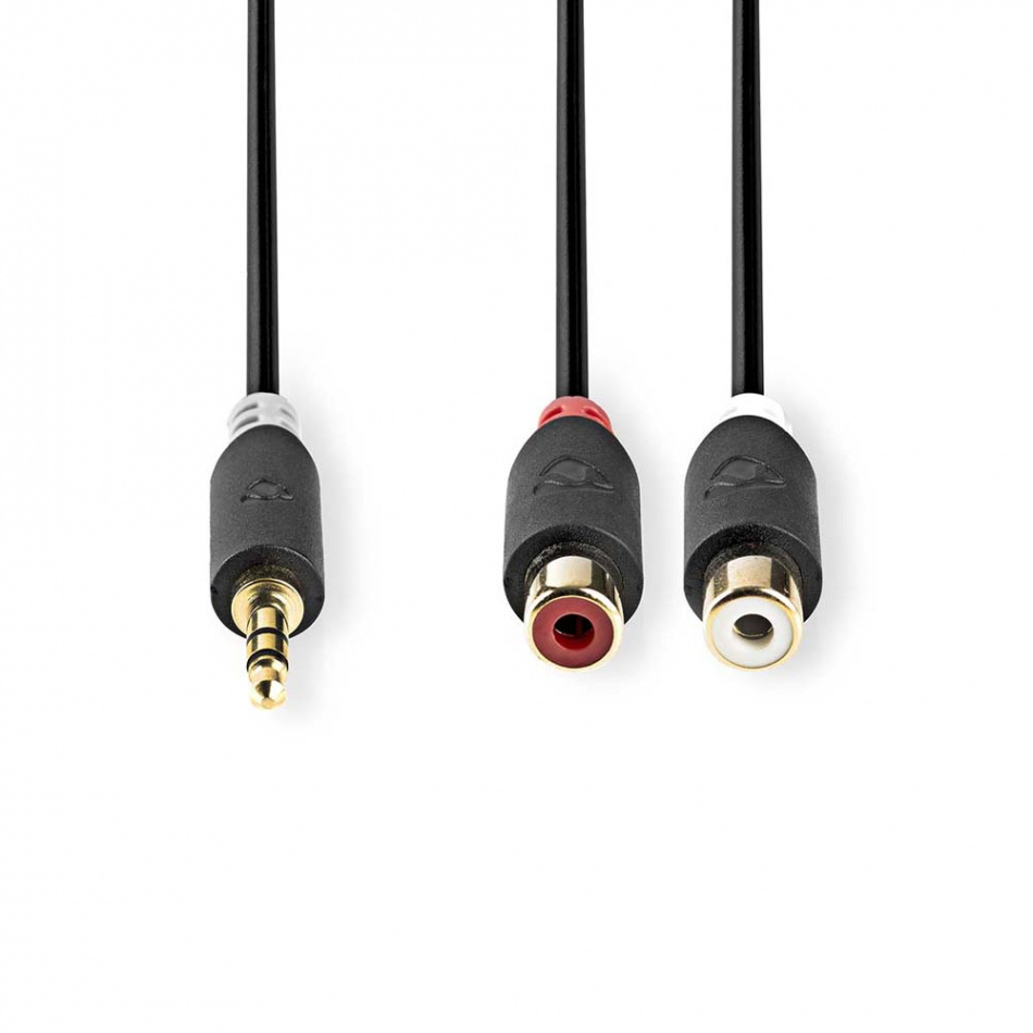 Nedis CAB-W22250 adapterkabel 3.5mm hane-RCA honor 0.2 meter