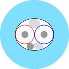 Supra DAC-XLR ljudkabel, 1 meter Supra DAC-XLR ljudkabel, 1 meter