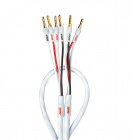 Supra Rondo 4x2.5 CombiCon Bi-Wire Center, 2 meter Supra Rondo 4x2.5 CombiCon Bi-Wire Center, 2 meter