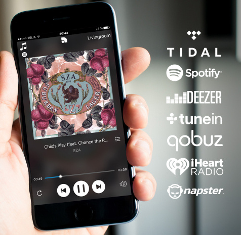 Audio Pro Addon C5 aktiv högtalare med nätverk, grå