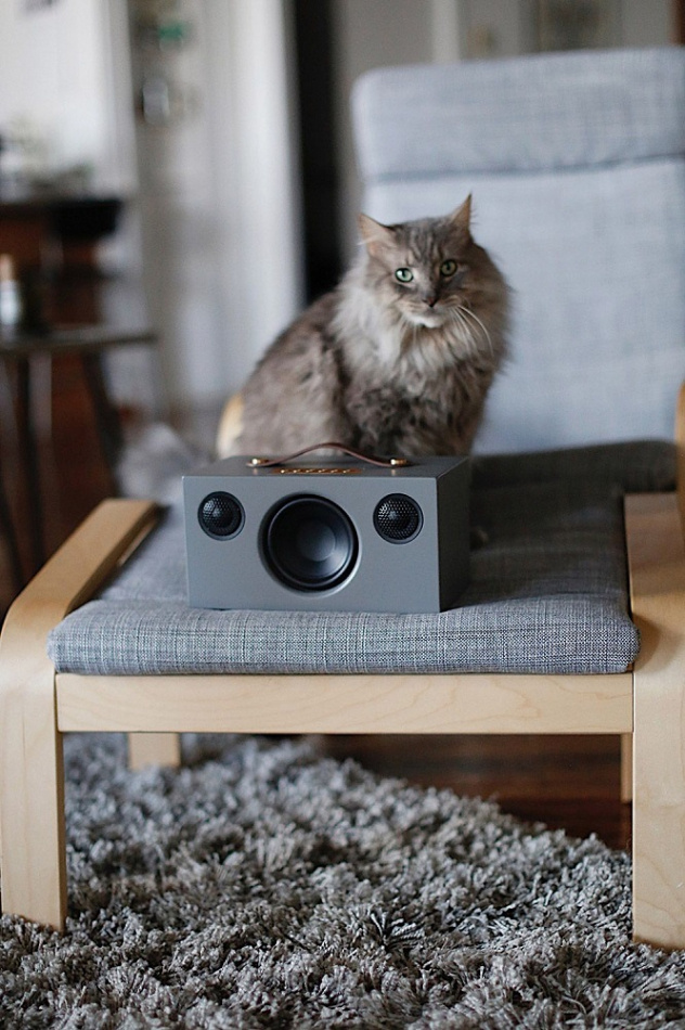 Audio Pro Addon T3+ portabel Bluetooth-högtalare, grå