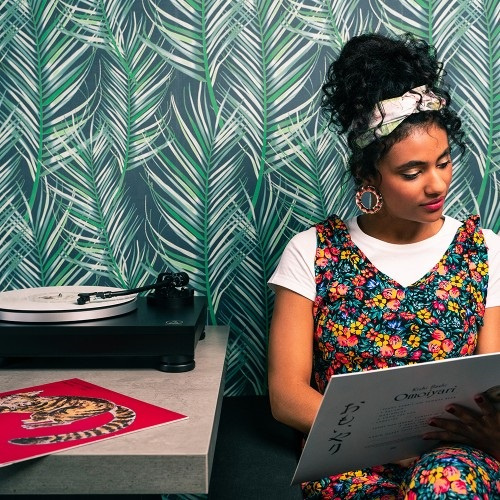 Audio Technica AT-LP5X vinylspelare med AT-VM95E-pickup