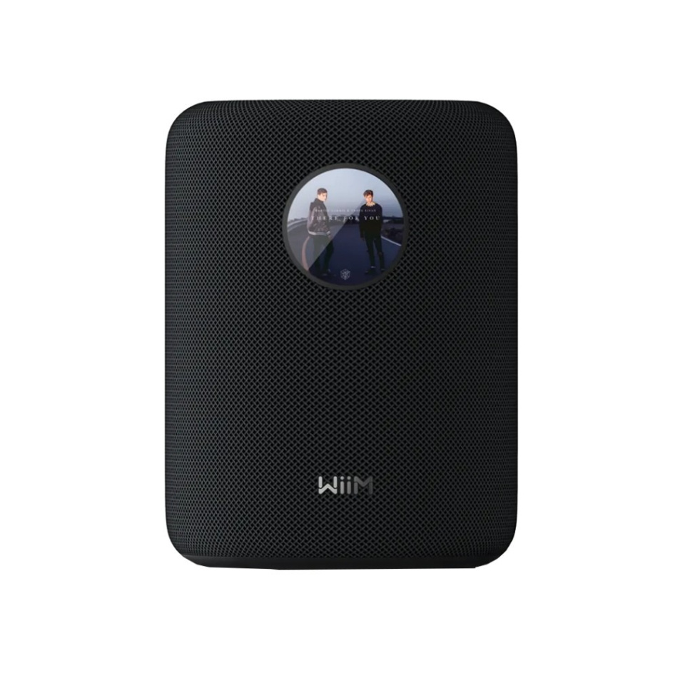 WiiM Sound streaminghögtalare med Touchdisplay, svart Returexemplar