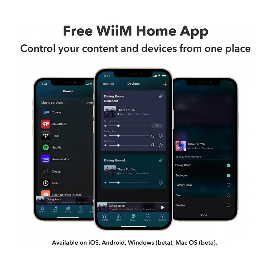 WiiM Ultra nätverksstreamer med HDMI ARC, mät-EQ & Chromecast, mörkgrå