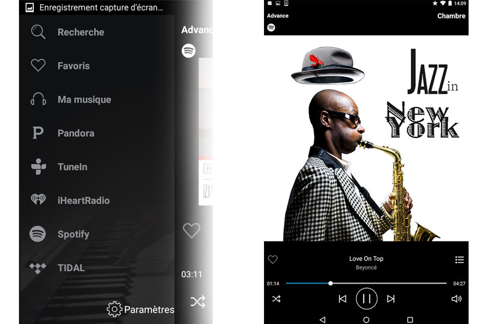 Advance Acoustic WTX-MicroStreamer, nätverksspelare