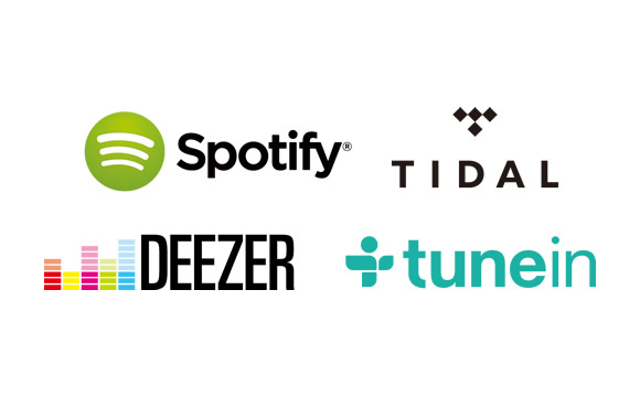 Onkyo R-N855 nätverksreceiver, silver