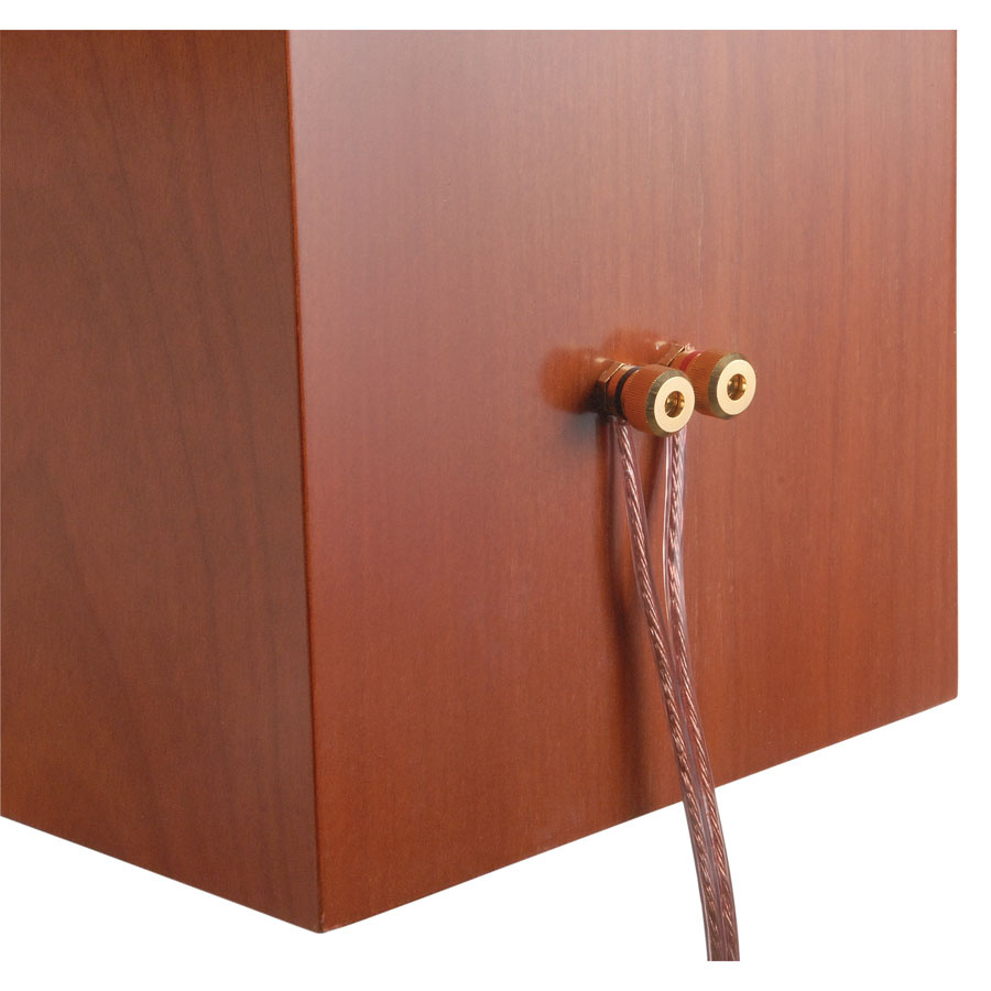 Dayton Audio BPA3-8 Gold Högtalarterminaler, par