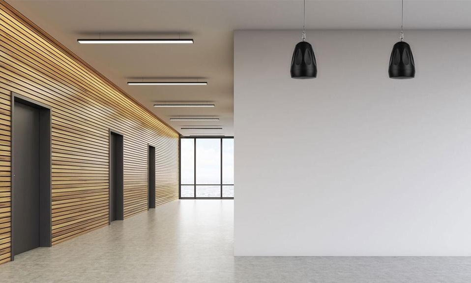 Dayton Audio WP4BT utomhushögtalare med stöd för 70/100V, svart par