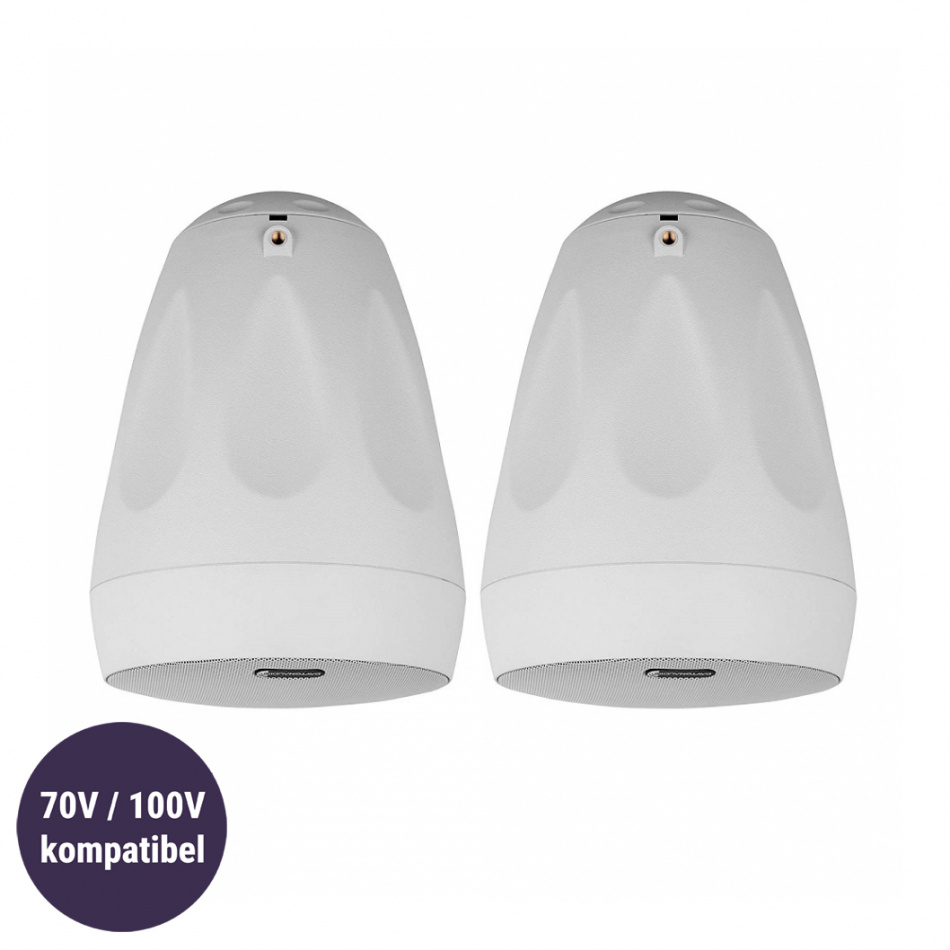 Dayton Audio WP65BT utomhushögtalare med stöd för 70/100V, vitt par