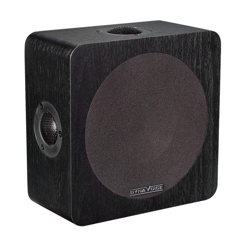 Dynavoice Magic Around 5 EX v.3, svart par