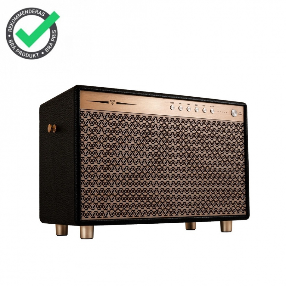 Dynavoice Classic CL-14A Black, bärbar Bluetooth-högtalare med powerbank