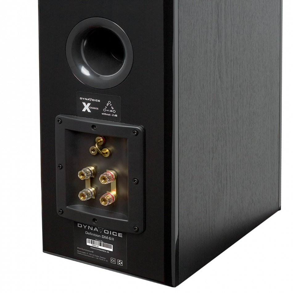 Dynavoice Definition DM-6 MKII stativhögtalare, svart par