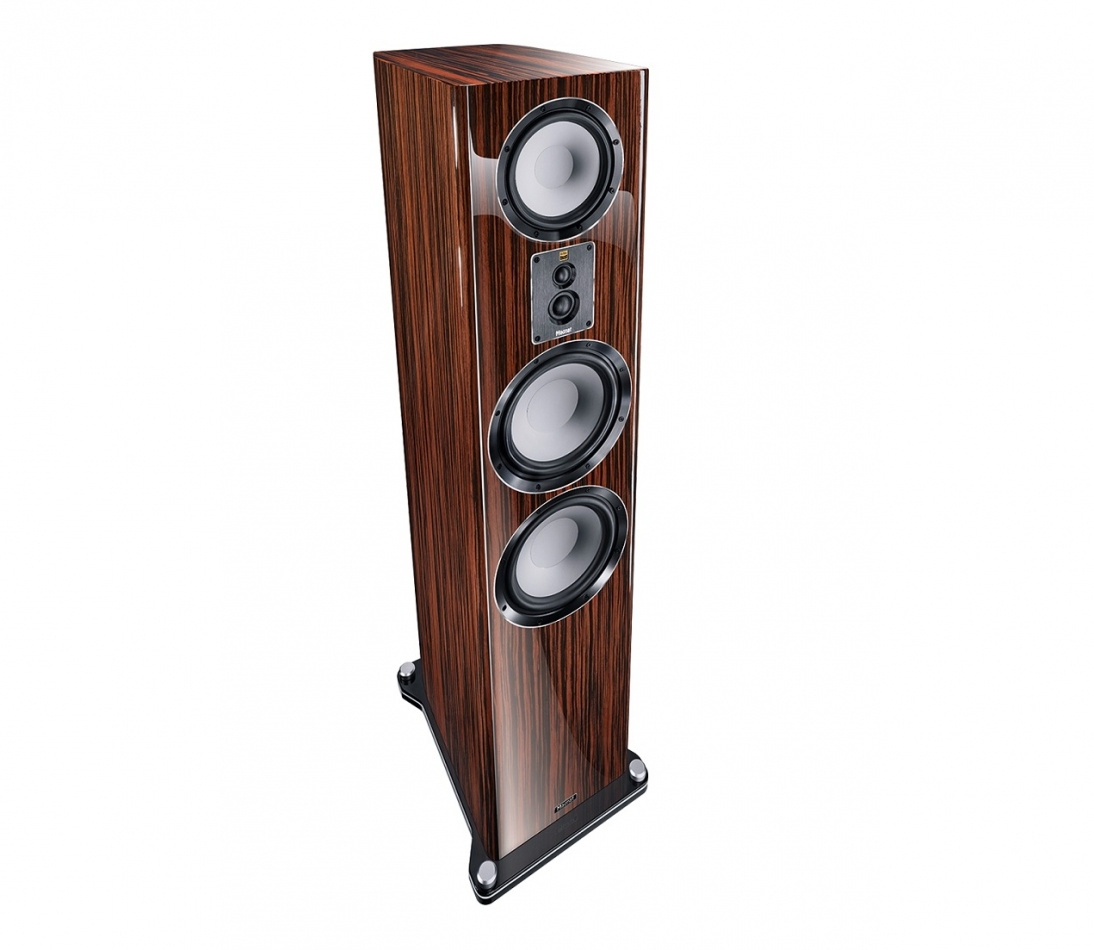 Magnat Signature 909 golvhögtalare, macassar par