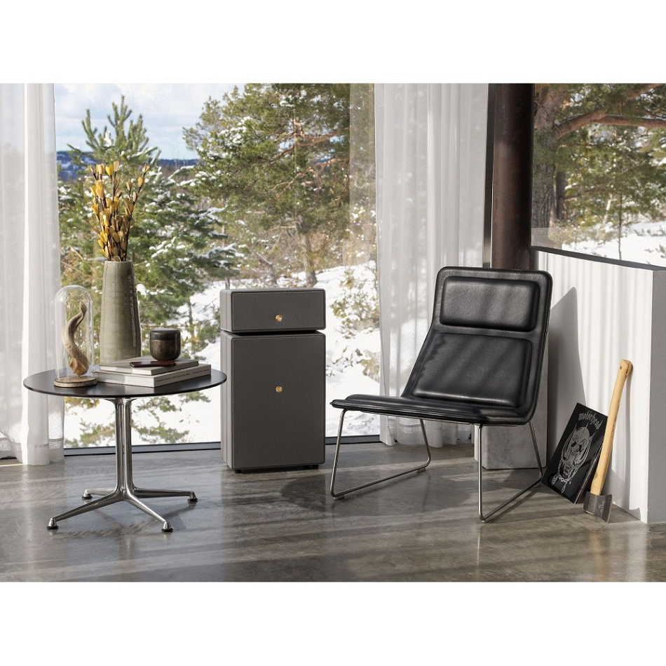 Audio Pro Drumfire II W, Wifi-högtalare med Chromecast & AirPlay 2 grå, 2-PACK