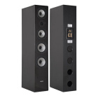 Arylic LA150 & Dynavoice Challenger M-65 EX v4 Svarta Streamingpaket Stereo Arylic LA150 & Dynavoice Challenger M-65 EX v4 Svarta Streamingpaket Stereo