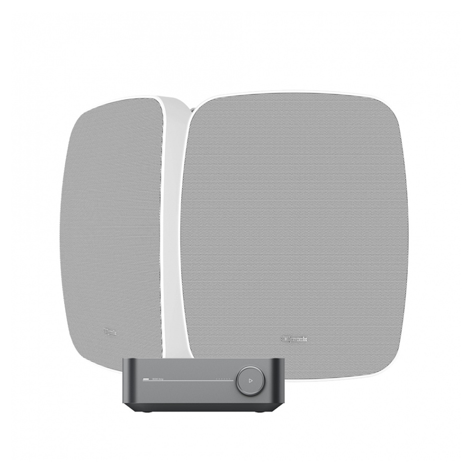 Wiim Amp & Klipsch RSM-650 Vita Utomhushögtalare Stereopaket