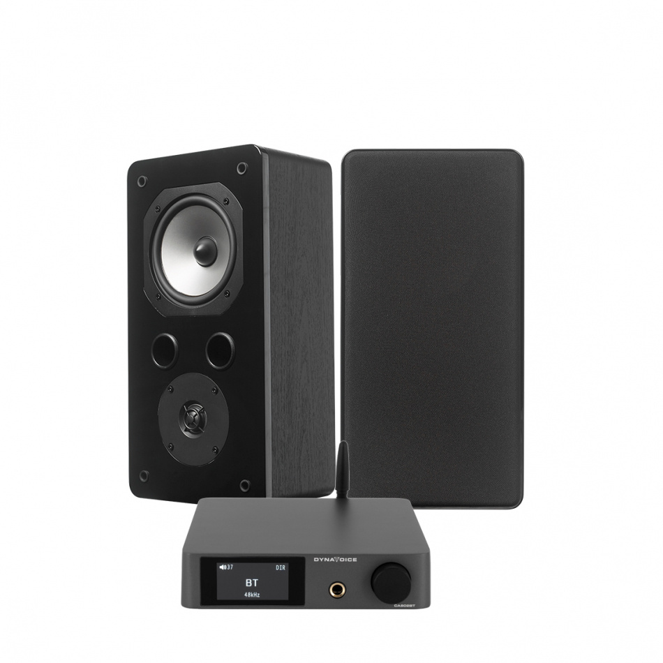 Dynavoice CA802BT & Challenger S-5 EX v.4 Stereopaket