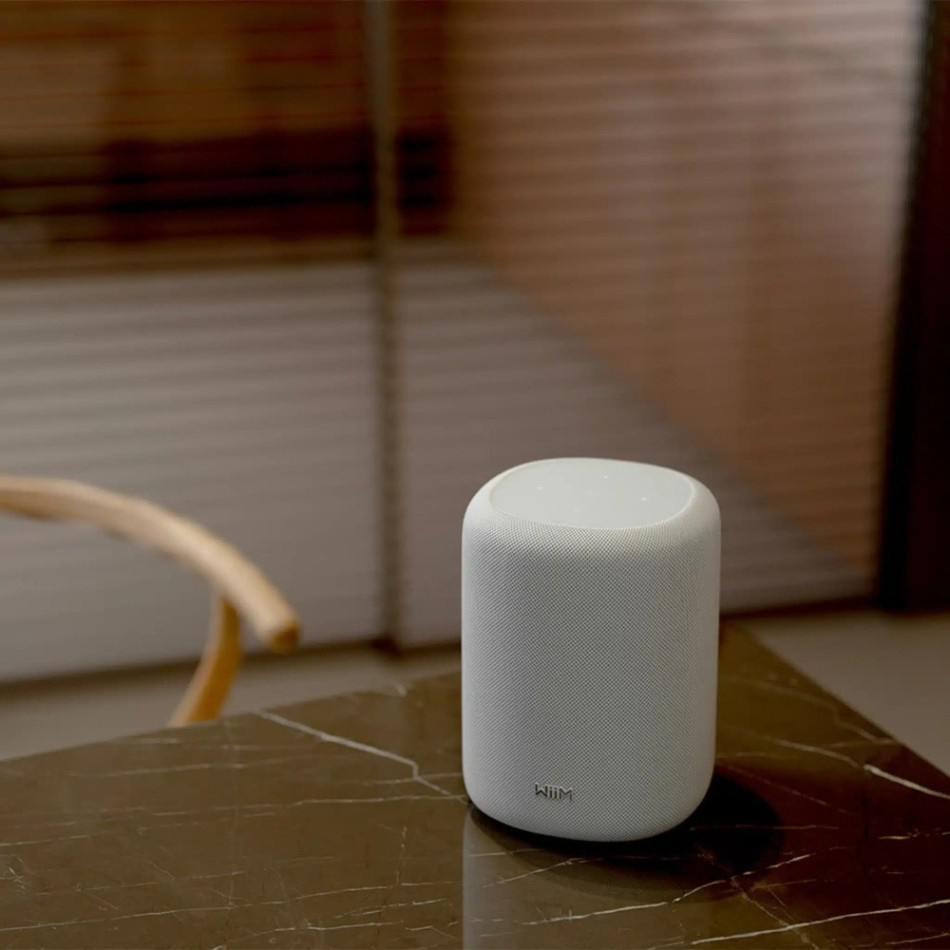 WiiM Sound Lite streaminghögtalare med AI RoomFit, vitt 2-PACK