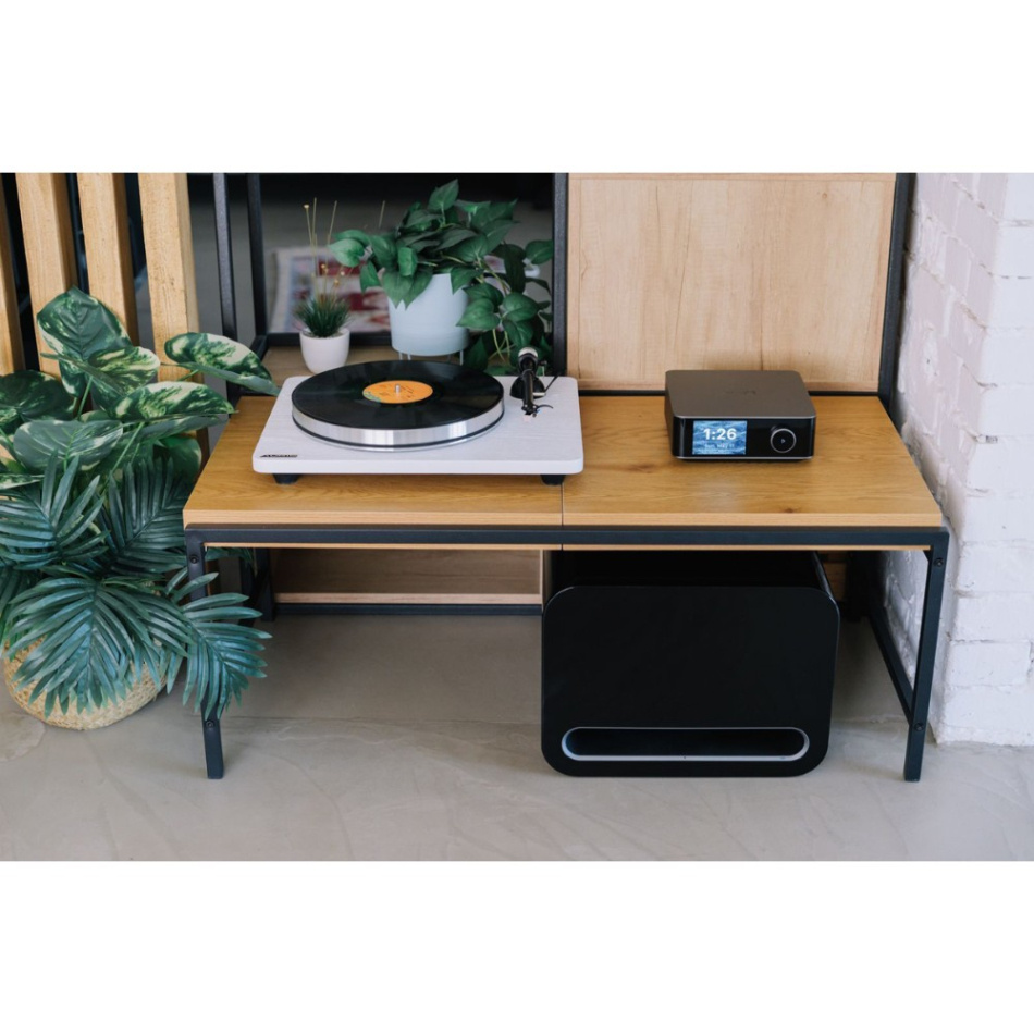 WiiM Sub Pro kompakt trådlös subwoofer, svart 2-PACK