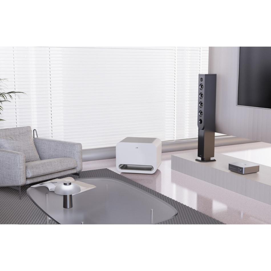 WiiM Sub Pro kompakt trådlös subwoofer, vit 2-PACK