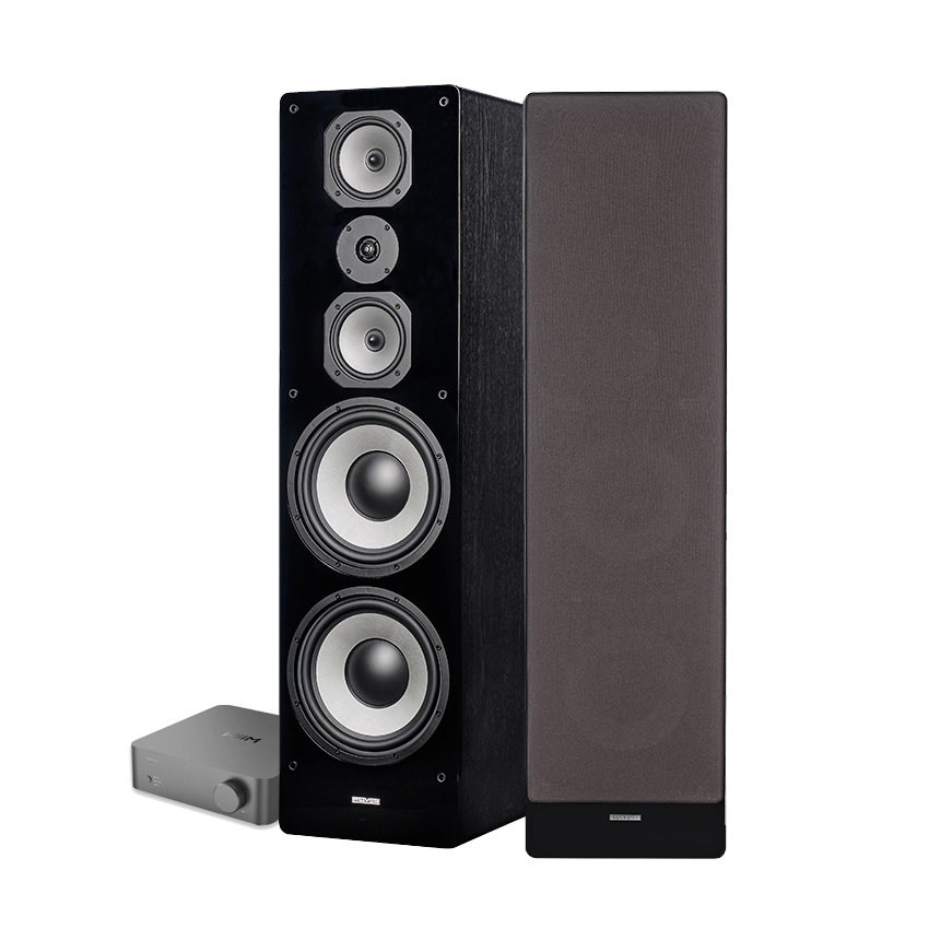 WiiM Vibelink Amp & Dynavoice Challenger M-105 EX v4 Stereopaket Golvhögtalare