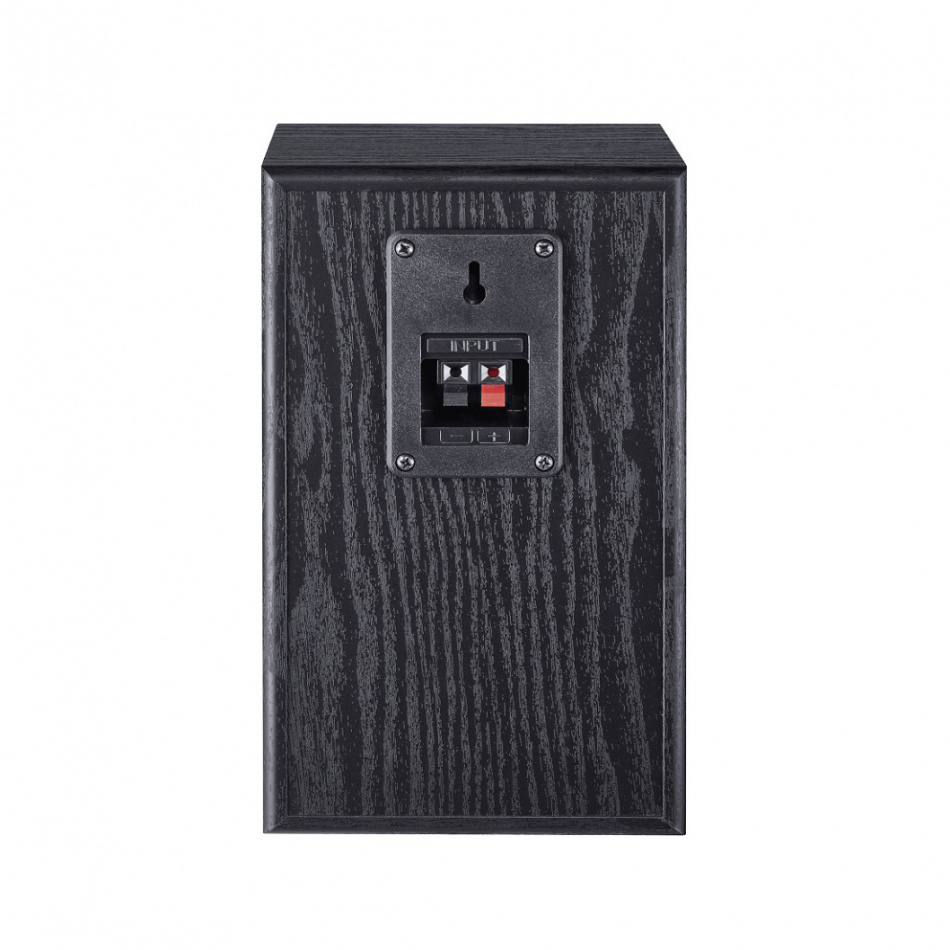 Dynavox VT80MK & Magnat Monitor S10B Stativhögtalare Stereopaket