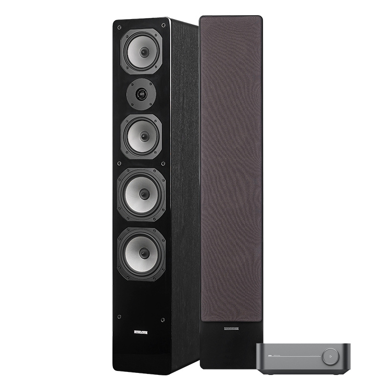 WiiM Amp & Dynavoice Challenger M-65 EX v.4 Stereopaket