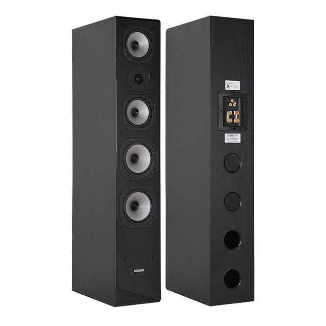 WiiM Amp & Dynavoice Challenger M-65 EX v.4 Stereopaket