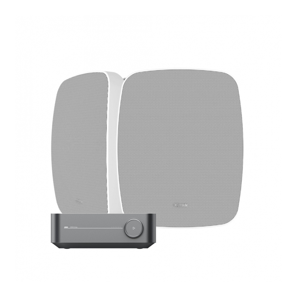 Wiim Amp  & Klipsch RSM-525 Vita Utomhushögtalare Stereopaket