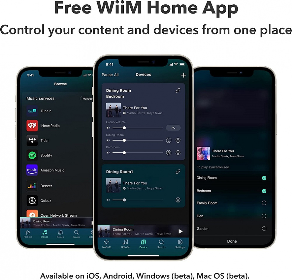 WiiM PRO nätverksstreamer med WiiM Voice Remote